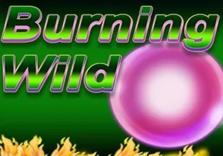 Burning Wild screenshot